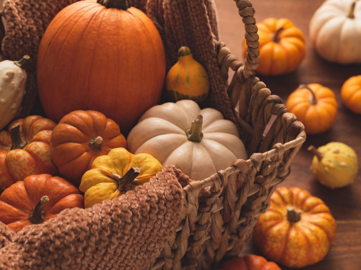 7 Secret Benefits of Pumpkin That Few People Know, Yet They Can Be Important