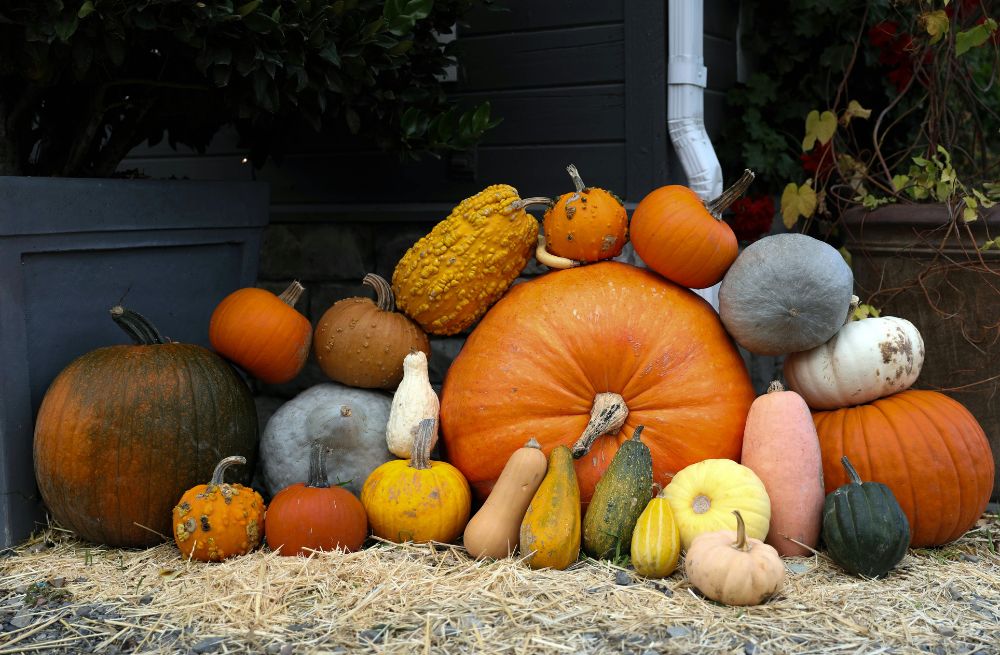 Colorful pumpkins and squashes arranged on straw in front of a house